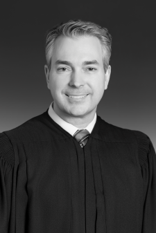 Photo of Judge David A. Nesbett