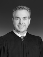 Photo of Judge David A. Nesbett